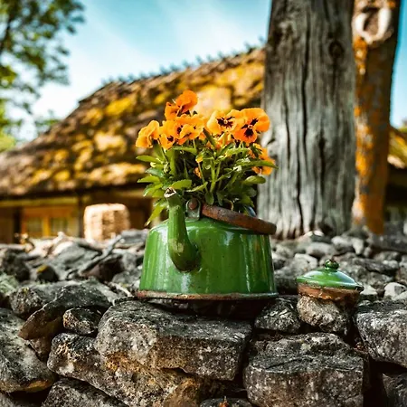 Hotel Vanatoa Taluhotell Koguva