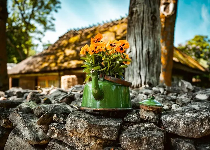 מלון Vanatoa Taluhotell Koguva