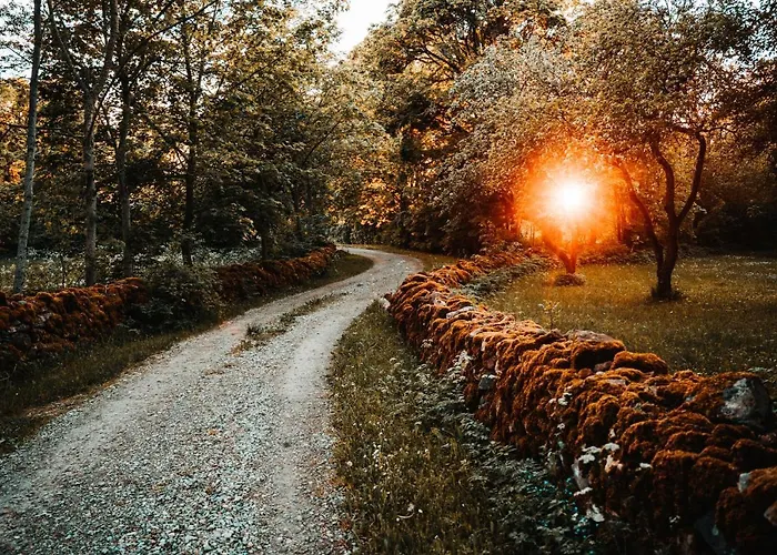 Vanatoa Taluhotell Koguva