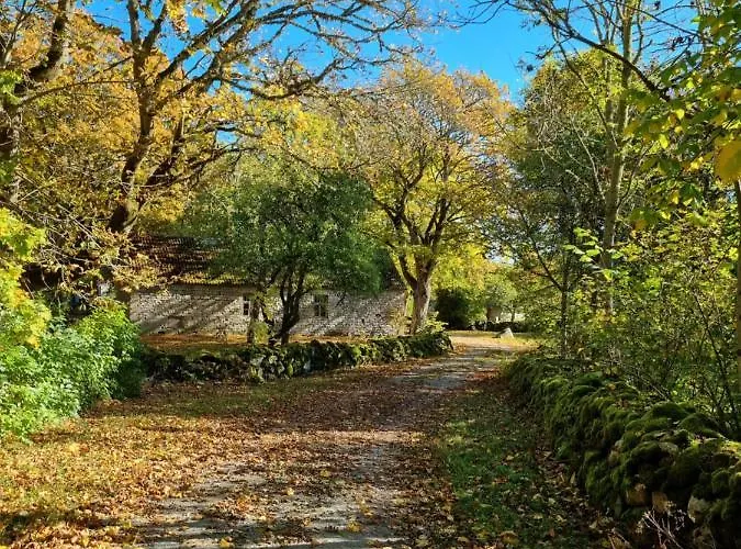 Vanatoa Taluhotell מלון *